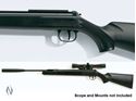 Picture of DIANA 31 PANTHER PROFESSIONAL .177 AIR RIFLE 