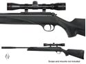 Picture of DIANA 31 PANTHER PROFESSIONAL .22 AIR RIFLE 