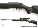 Picture of DIANA 350 PANTHER PROFESSIONAL .22 AIR RIFLE 
