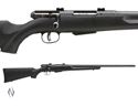 Picture of SAVAGE 25 WALKING VARMINT BLUED SYNTHETIC DM RIFLE