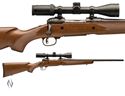 Picture of SAVAGE 10, 110 TROPHY HUNTER XP BLUED WALNUT RIFLE PACKAGE 