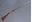 Picture of UNKNOWN 12G BR SECOND HAND SHOTGUN